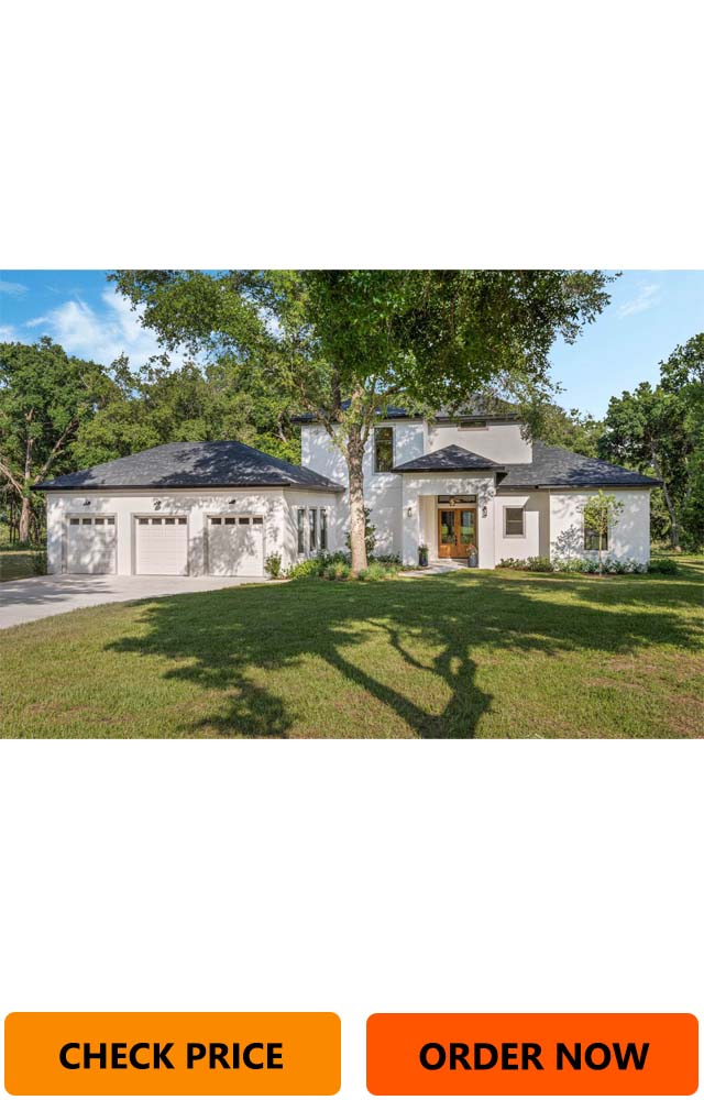 20200 Wolf Springs Ct, Clermont, FL 34715 / Florida